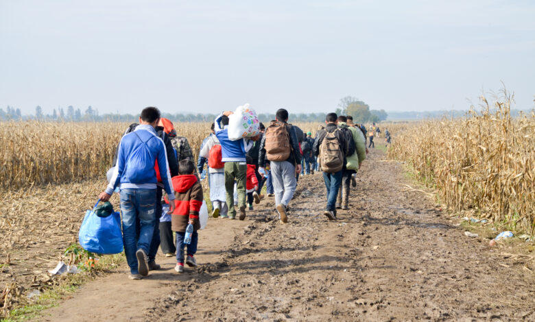 Refugees and migrants walking on fields. Group of refugees from