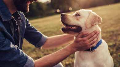 Man with dog