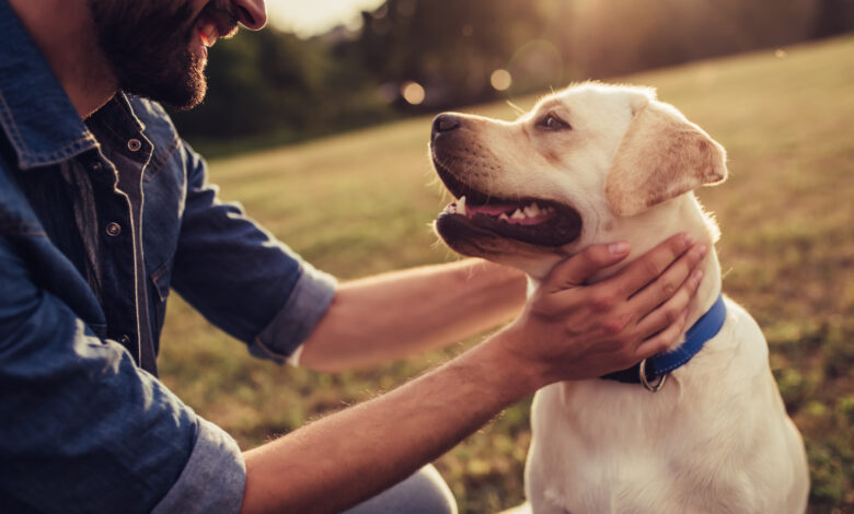 Man with dog