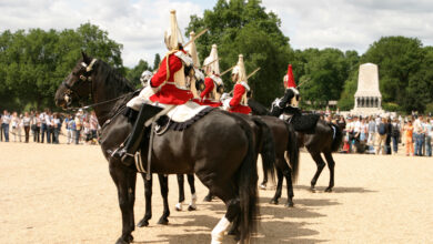 royal cavalry on parade