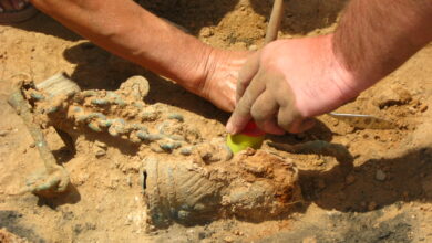 archaeologists at work