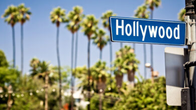 Hollywood boulevard sign, with palm trees in the background